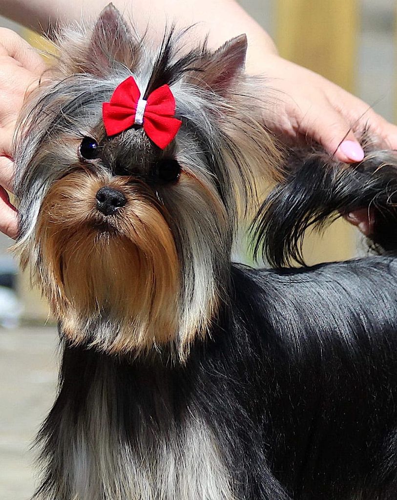 Warm flow'love solar city